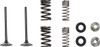 Moose Offroad -  - Valve and Spring Kit - Honda CRF250RX | CRF250R