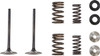Moose Offroad - Valve and Spring Kit - Honda CRF250R | CRF250RX