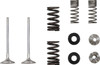 Moose Offroad -  - Valve and Spring Kit - Kawasaki KX250X | KX250F
