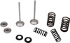 Moose Offroad - Valve and Spring Kit - Kawasaki KX250F