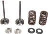 Moose Offroad -  - Valve and Spring Kit - Kawasaki KX250F