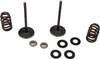Moose Offroad - Valve and Spring Kit - Husqvarna 450 | KTM 450 SX-F | KTM 450 XC-F