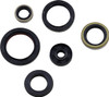 Moose Offroad -  - Oil Seal Kit - Gas Gas/Husqvarna/KTM