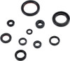 Moose Offroad -  - Engine Oil Seal Kit - Honda