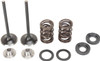 Moose Offroad - Valve and Spring Kit - KTM RFS Engines 400 cc - 560 cc