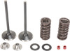 Moose Offroad -  - Valve and Spring Kit - Honda CRF250X | CRF250R