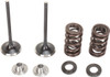 Moose Offroad -  - Valve and Spring Kit - Kawasaki KX450F