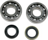 Moose Offroad -  - Crank Bearings and Seals - Honda/Kawasaki