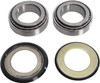 Pivot Works - PWSSK-H21-000 - Steering Stem Bearing Kit