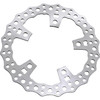 Arlen Ness - 11.8" Jagged Front Brake Rotor - Chrome