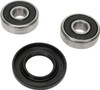 Pivot Works - PWFWK-Y18-001 - Wheel Bearing Kit - Front - TT 125/TT-R 125