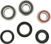 Pivot Works - PWRWK-G01-001 - Wheel Bearing Kit - Rear - Gas Gas