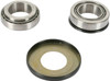 Pivot Works - PWSSK-S09-421 - Steering Stem Bearing Kit - RM 125/250
