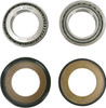 Pivot Works - PWSSK-H05-420 - Steering Stem Bearing Kit - CRF250R/450R
