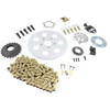 V-Twin - York FXR Rear Chain Drive Kit fits '83-'99 FXR Models - Gold Chain
