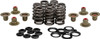 Kpmi - 20-21215 - Beehive Valve Spring Kit .550 Lift M8`17-24 Non Vvt