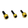 Santoro Fabworx - Chacho Bolt Kit fits '17-'23 M8 Softail & Touring Models W/ Black Stainless Bolts (Gold)