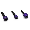 Santoro Fabworx - Chacho Bolt Kit fits '17-'23 M8 Softail & Touring Models W/ Black Stainless Bolts (Purple)