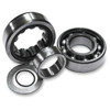 Feuling - Outer Camshaft Bearing Kit Fits '99-'06 Big Twin Models (Exc. '06 Dyna Models) W/ Chain Drive