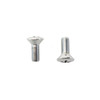 V-Twin - Phillips Head Chrome Screw Set fits Custom Application (OEM #33822-36)