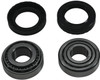 Pivot Works - PWRWS-HD01-000 - Wheel Bearing Kit - Rear - '73-'99 Harley-Davidson