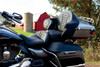 Mustang - 79012 - Removable Driver Backrest - Tuck and Roll