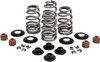 Kibblewhite - 20-21400 - Beehive Spring Kit - 0.610" Lift - Twin Cam | XL | XR1200