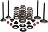 Kibblewhite - 20-22850 - Engine Valve Kit - 0.600" Lift - XL1200 '88-'03