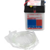 Parts Unlimited -  - Conventional Battery