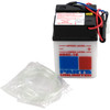 Parts Unlimited -  - Conventional Battery