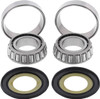 Drag Specialties - 04100294 - Neck Post Bearing/Race Kit