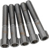 Drag Specialties - DS192308 - Bolts - Socket-Head/Replacement - Smooth/Coarse Thread - 7/16"-14 x 3" - 5 Pack