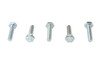 V-Twin - 73-0013 - Hex Cap Bolts Zinc 1/4 inch-20 x 1 inch