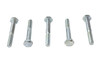 V-Twin - 73-0015 - Hex Cap Bolts Zinc 1/4 inch X 1-3/4 inch