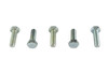 V-Twin - 73-0021 - Hex Cap Bolts Zinc 5/16 inch X 1 inch