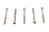V-Twin - 73-0216 - 1/4 inch-20 x 2-1/4 inch Allen Socket Cap Screw Stainless St