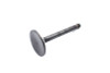 V-Twin - 11-0617 - 900/1000cc Nitrate Steel Exhaust Valve