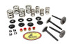 V-Twin - 11-2025 - Kibblewhite Valve and Spring Kit