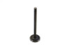 V-Twin - 11-6092 - 883cc Black Diamond Stem Exhaust Valve