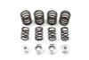 V-Twin - 13-9226 - Valve Spring Kit
