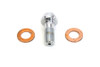 V-Twin - 2191-3 - Brake Hose Banjo Bolt Allen Type 10mm