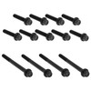 Arlen Ness - Titanium 12-Point Primary Cover Bolt Kit fits '07-'16 Twin Cam Touring Models
