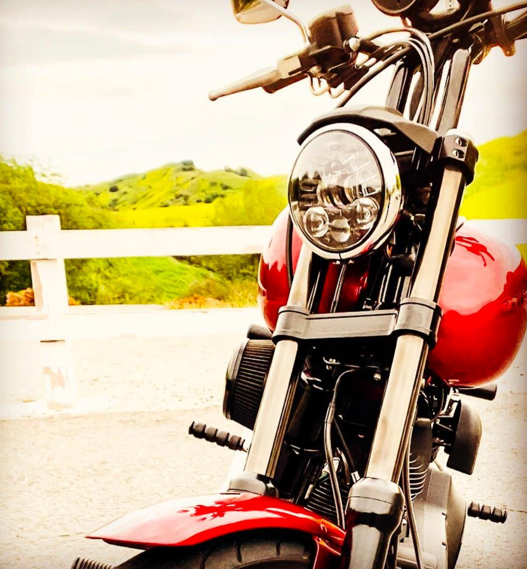 Pro-One MXV1 39mm Harley Triple Tree