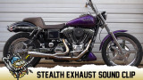 Stealth Harley Davidson 2 Into 1 Exhaust System