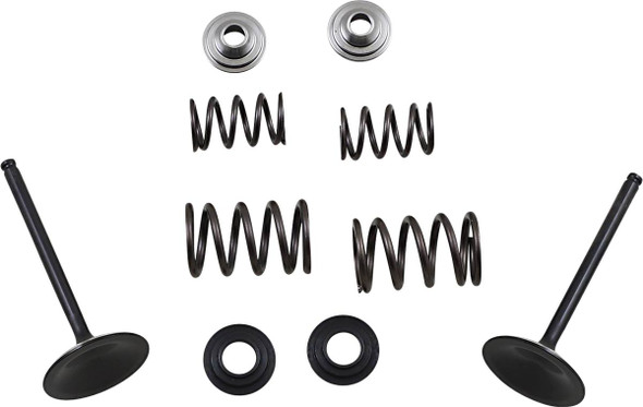 Moose Offroad - 09262451 - Valve and Spring Kit - Suzuki LTR450 Quad Racer