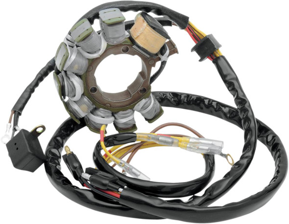 Rick'S Motorsport Electric - 21120339 - Stator