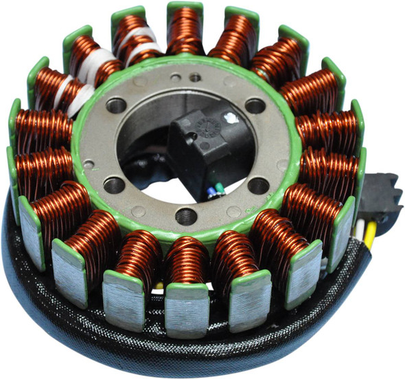 Rick'S Motorsport Electric - 21120644 - Stator