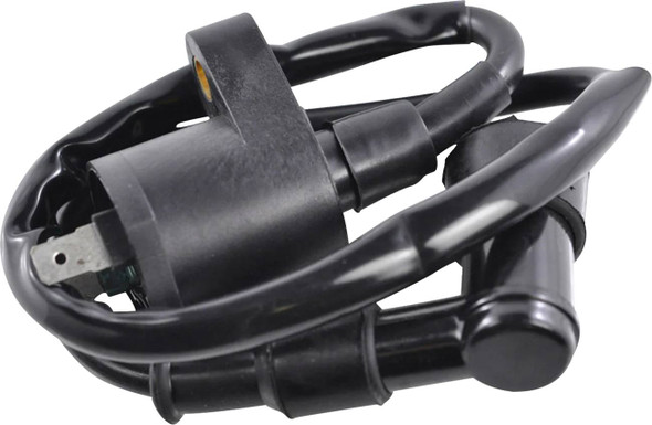 Rm Stator - 21020488 - Ignition Coil - External