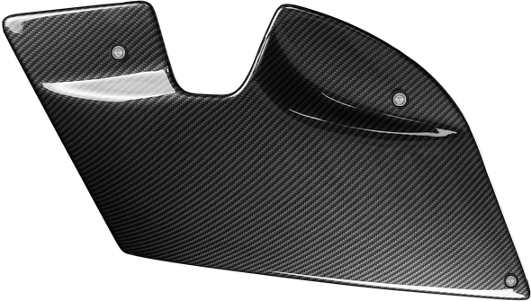 Santoro Fabworx - Chonies Bag Deletes Carbon Dip fits '14-'23 FLH/FLT Models