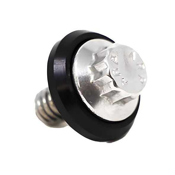 ARP - Harley Seat Screw Kit fits '96 & Up (1/4"-20 Thread)